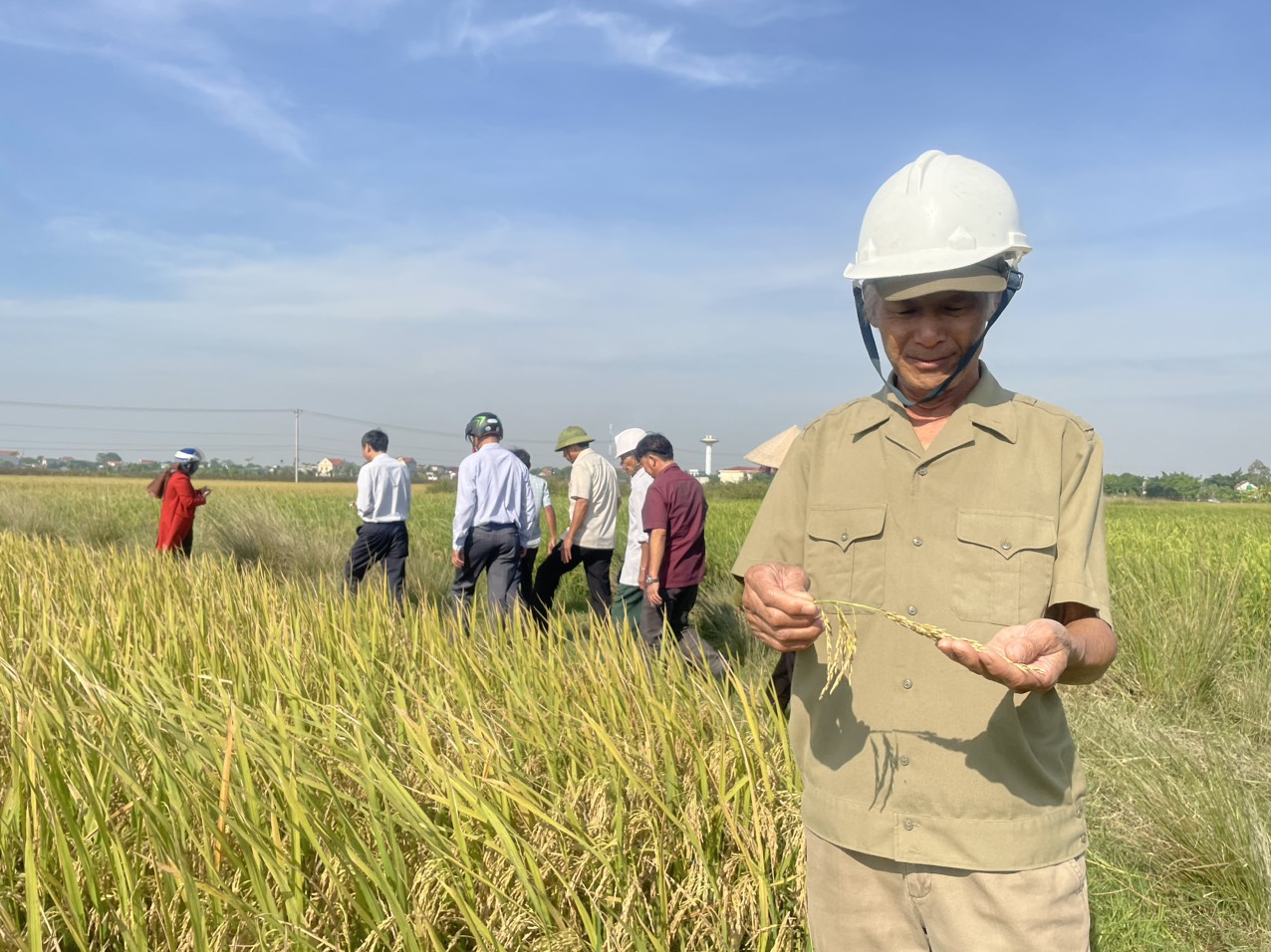 Xã Khánh Cư tổ chức thăm đồng đánh giá năng suất lúa vụ Mùa năm 2022